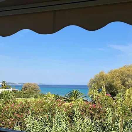 Beachfront Bliss Полихроно