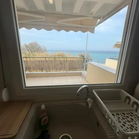 Beachfront Bliss * Polychrono