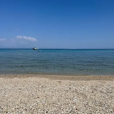 Beachfront Bliss * Polychrono